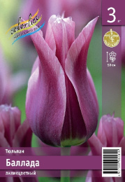 Тюльпан Баллада 50см 11/12 7 шт