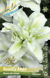 Лилия ORD ROSELILY АИША 12/14 1 шт