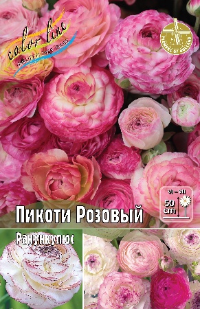 Ранункулюс Пикоти Розовый 30-40 5/6 200 шт