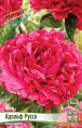 ПИОН АДОЛЬФ РУССО 2/3 n 1 шт