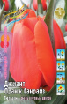 Тюльпан Джиант Оранж Санрайз 35см 14/16 50 шт
