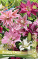 ЛИЛИЯ ORD ROSELILY СМЕСЬ 12/14 3 шт
