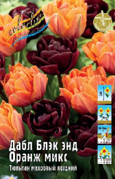 Тюльпан Дабл Блэк энд Оранж микс 45см 11/12 50 шт