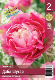 Тюльпан Дабл Шугар 45см 11/12 5 шт