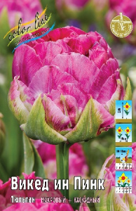 Тюльпан Викед ин Пинк 45см 11/12 7 шт