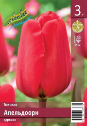 Тюльпан Апельдоорн 12/+ 55см 12/+ 8 шт