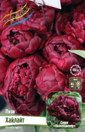 ПИОН COLLECTIONER ХАЙЛАЙТ 3/5 n 1 шт