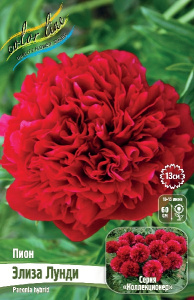 ПИОН COLLECTIONER ЭЛИЗА ЛУНДИ 2/3 n 1 шт