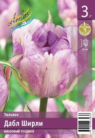 Тюльпан Дабл Ширли 45см 11/12 2 шт