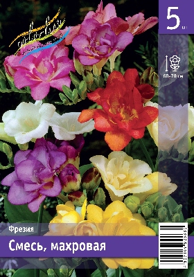 Фрезия Смесь, махров. 60-70 5/6 5 шт