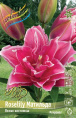 Лилия ORD ROSELILY МАТИЛЬДА 12/14 1 шт
