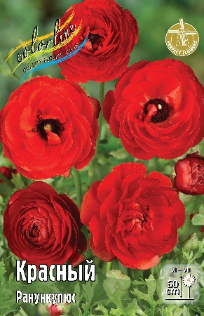 Ранункулюс Красный 50-60 6/7 100 шт