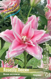 ЛИЛИЯ ORD ROSELILY ЛЮСИЯ 12/14 5 шт