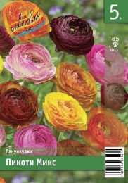 Ранункулюс Пикоти Микс 30-40 5/6 5 шт