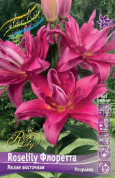 Лилия ORD ROSELILY ФЛОРЕТТА 12/14 1 шт
