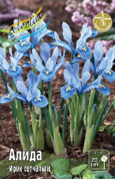 Ирис сетч. Алида 20 5/6 100 шт