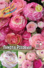 Ранункулюс Пикоти Розовый 30-40 5/6 100 шт