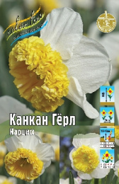 Нарцисс Канкан Гёрл 40см 12/14 40 шт