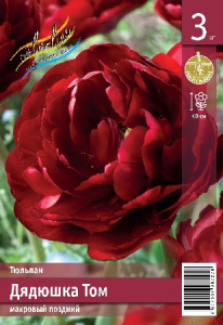 Тюльпан Дядюшка Том 40см 11/12 7 шт