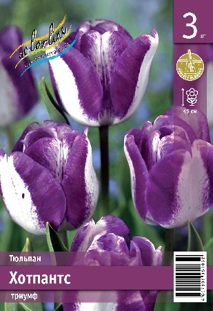 Тюльпан Хотпантс 45см 11/12 8 шт