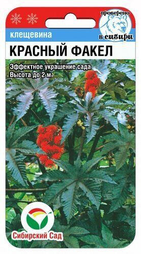 Клещевина Красный факел 5шт (Сиб Сад)