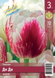 Тюльпан Ди Ди 45см 11/12 7 шт