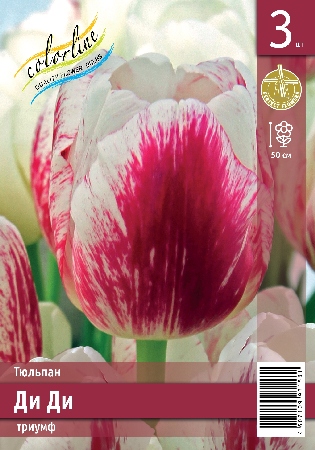 Тюльпан Ди Ди 45см 11/12 7 шт