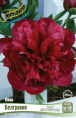 ПИОН COLLECTIONER БЕЛГРАВИЯ 2/3 n 1 шт