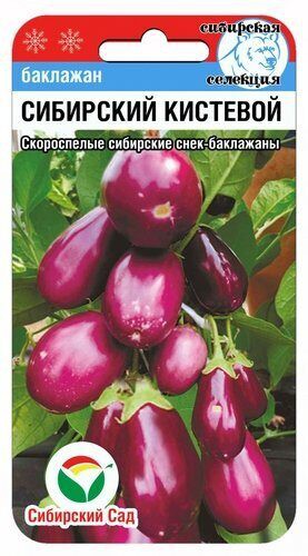 Баклажан Сибирский кистевой 20шт (Сиб Сад)