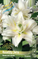 Лилия ORD ROSELILY ЗИТА 12/14 1 шт