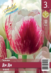 Тюльпан Ди Ди 45см 11/12 7 шт