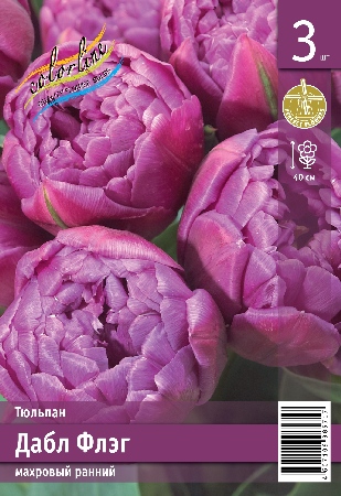 Тюльпан Дабл Флэг 45см 11/12 7 шт