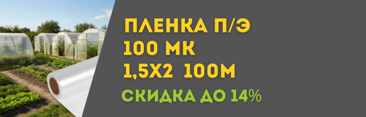 Пленка 100 мк
