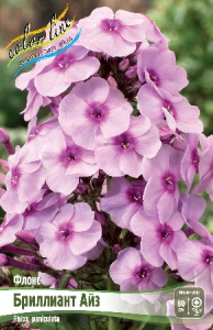 ФЛОКС БРИЛЛИАНТ АЙЗ I 2 шт