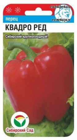 Перец КВАДРО РЕД 15шт (Сиб сад)