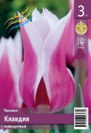 Тюльпан Клавдия 55см 11/12 8 шт