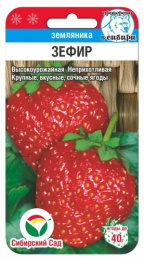 Земляника Зефир 10шт (Сиб сад)