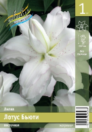 Лилия ORD ЛОТУС БЬЮТИ 16/18 16/18 1 шт