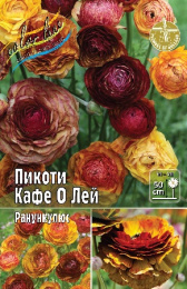 Ранункулюс Пикоти Кафе О Лей 30-40 5/6 200 шт