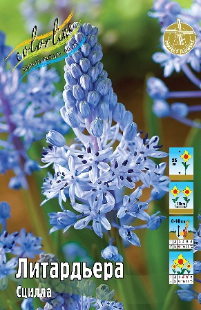 Сцилла Литардьера 50-60 6/+ 200 шт