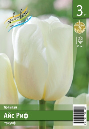 Тюльпан Айс Риф 45см 11/12 7 шт