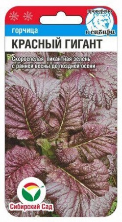 Горчица Красный гигант 0,5г (Сиб Сад)