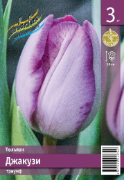 Тюльпан Джакузи 50см 11/12 7 шт