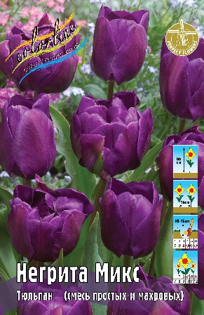 Тюльпан Негрита Микс 45см 11/12 50 шт