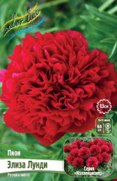ПИОН COLLECTIONER ЭЛИЗА ЛУНДИ 2/3 n 1 шт