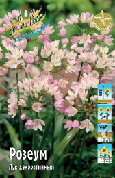 Лук декор. Розеум 30-50 5/+ 100 шт
