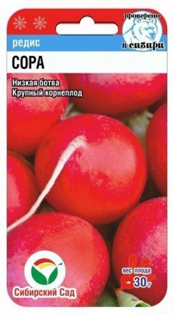Редис Сора 0,5г (Сиб Сад)