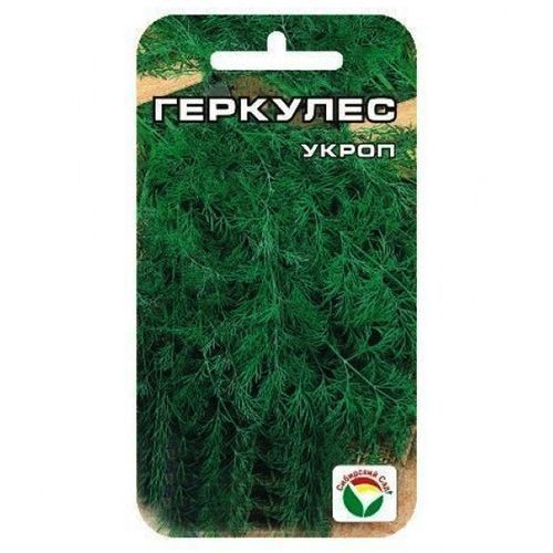 Укроп Геркулес 1г (Сиб сад)