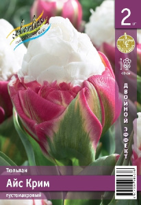 Тюльпан Айс Крим 40см 11/+ 7 шт