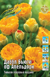 Тюльпан Даббл Бьюти оф Апельдорн 45см 11/12 100 шт